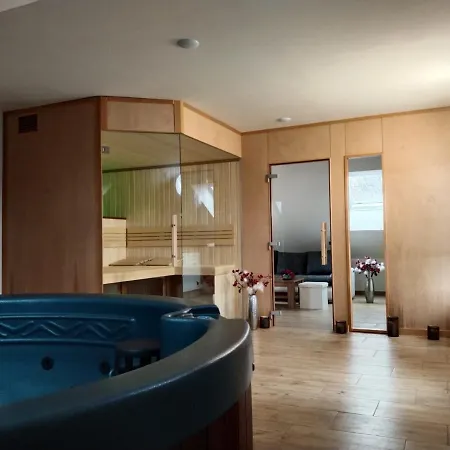 Wellness S Virivkou A Saunou Apartment Plzen