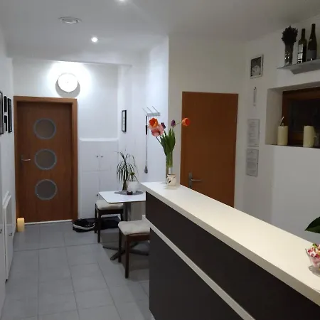 Wellness S Virivkou A Saunou Plzen