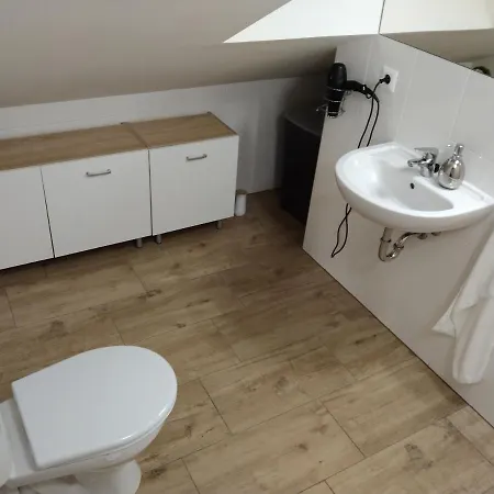 Wellness S Virivkou A Saunou Plzen
