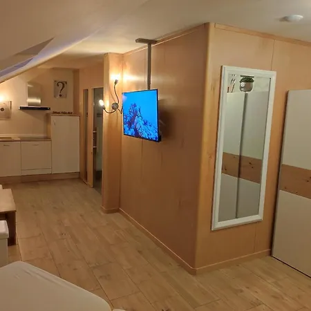 Apartment Wellness S Virivkou A Saunou