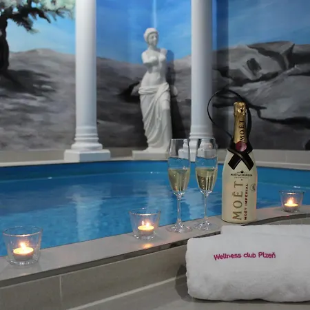 Wellness S Virivkou A Saunou * Plzen