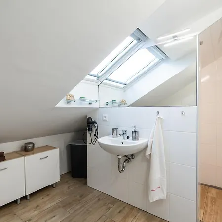 Apartment Wellness S Virivkou A Saunou *