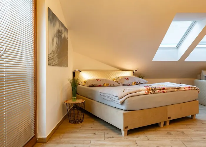 Wellness Luxury Apartment Plzen